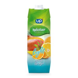 NECTAR UP MANGA/LARANJA 1L