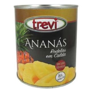 TREVI ANANÁS EM RODELAS 820GR