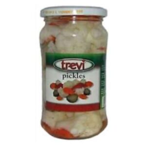 TREVI PICKLES 360GR