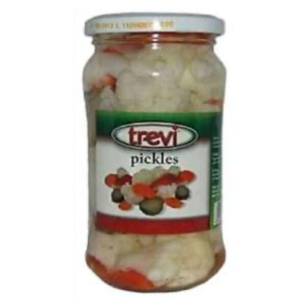 TREVI PICKLES 360GR