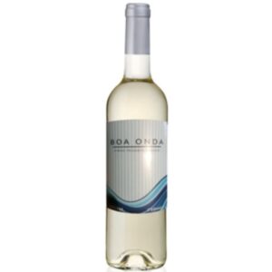 VINHO FRISANTE BOA ONDA BRANCO 0,75L